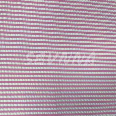 二重編織布 240gm 服用 密度 ポリエステル ロール 秋 夏