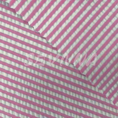 二重編織布 240gm 服用 密度 ポリエステル ロール 秋 夏